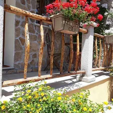 Al Pez Exclusive 3*