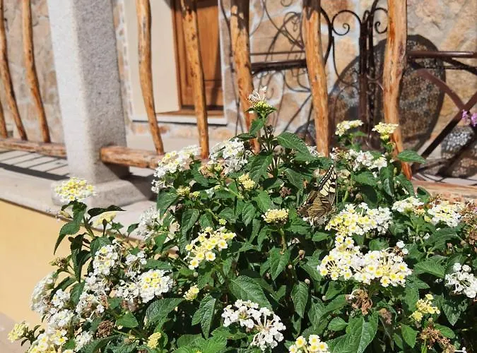 Couette-café Al Pez Exclusive 3*