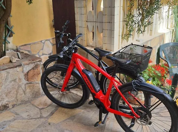 Al Pez Exclusive Olbia