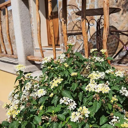 Bed & Breakfast Al Pez Exclusive 3*