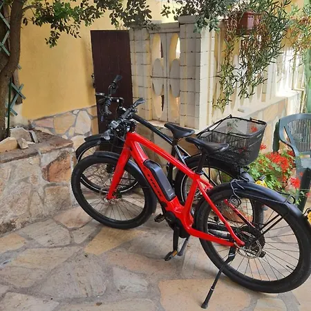 Al Pez Exclusive Olbia