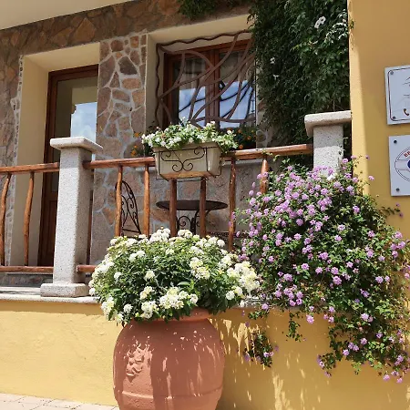 Al Pez Exclusive Olbia