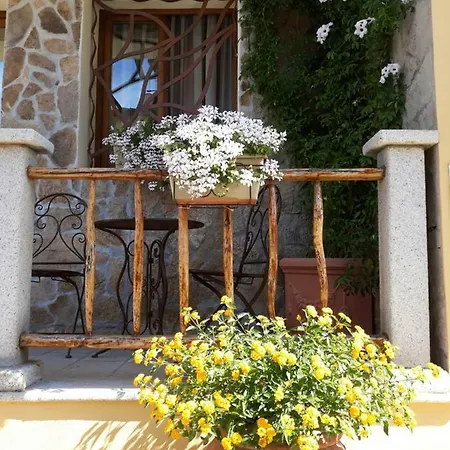 Bed & Breakfast Al Pez Exclusive Olbia