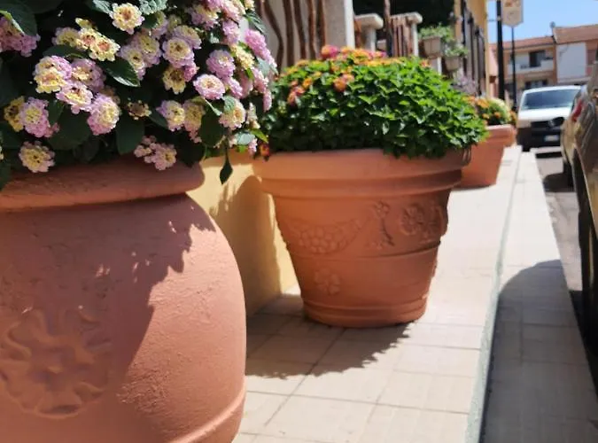 Al Pez Exclusive فندق مبيت وإفطار